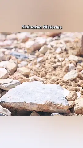 VT SELANJUTNYA@𝟮𝟬:𝟬𝟯  . #alurcerita #film #filmseru #foryoupage 