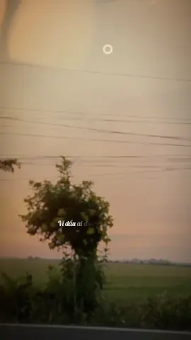 l 01.12.2025 l Trời lạnh rồi…mặc thêm áo ấm Chuyện cũ rồi…sang trang thôi! #tamtrang #chenhvenh #hoanghon #baynhieulaucungchibaynhieudo 