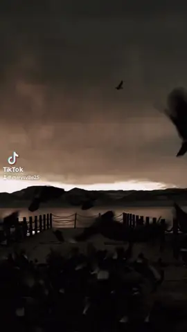 🫶🤲 الحمد لله دائما وأبدا🫶🤲