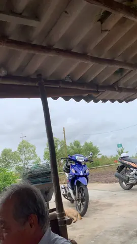 #xuhuong #69camau #thuongmientay nhớ nha anh em 