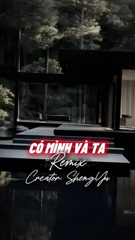 Có Mình Và Ta Remix 2 Pic Capcut #nhachaymoingay #盛宇shengyu #capcut #capcutpioneer #pioneertemplate 