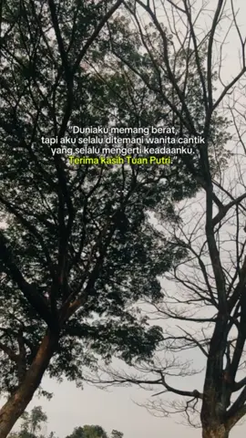 Terimakasih Tuan putri.  #storywa #storytime #fyp #viral #CapCut 