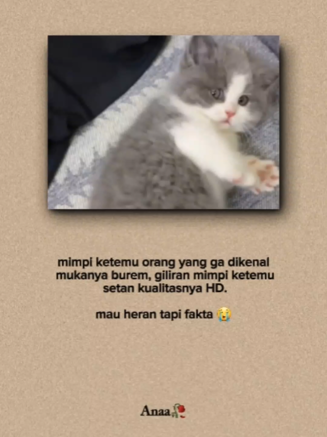 #quoteslucu #kucinglucu #indiasong #foryoupage #xbcyza 