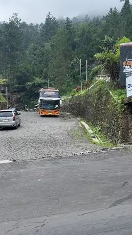 Secandu itu kah janda bodong🤔#fyppppppppppppppppppppppp #buscomunityindonesia #asyrofgoodboy #asyrof #basurihorn @Rian Juliant @Kukuhmww @AZKduino Automation - VGM 