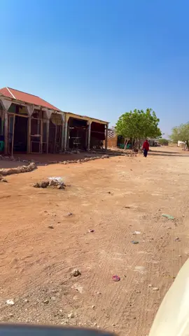 Magaalo Tariikh leh Dhudub #