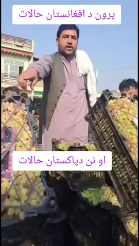 #fyp #foryou #viral #foryou #foryoupage #@NooRaNi…Fruits🍎 