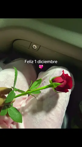 #fypシ #diciembre #paratiiiiiiiiiiiiiiiiiiiiiiiiiiiiiii #1 #Feliz 