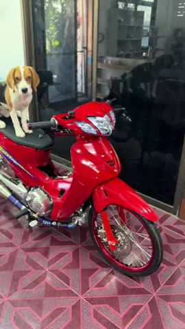 ท้ายหูยาว #สท_โขงเจียม #เวฟ125 #บีเกิ้ล 