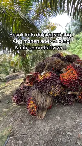 Cemna cocok adek rasa🗿🤣#fyp #berodolansawit #sawit #petaniindonesia🇮🇩🇮🇩🇮🇩🌿🌿 #foryou 