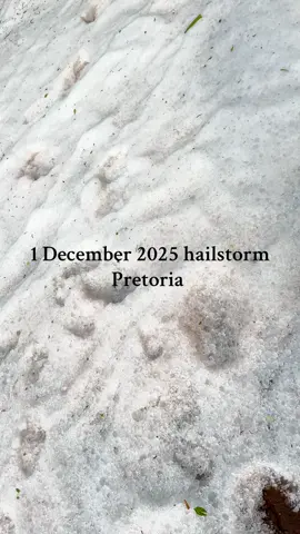 #pretoriatiktok #pretoria #hailstorm #pretoriahailstorm #sleet 
