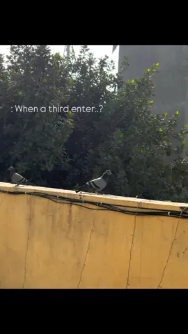 Not just a post...🥹❤️‍🩹 #newaccount #foryyyyyyyyyyyyyyyyyyyyyyy #shayari #secretaccount #unfrezzmyaccount 