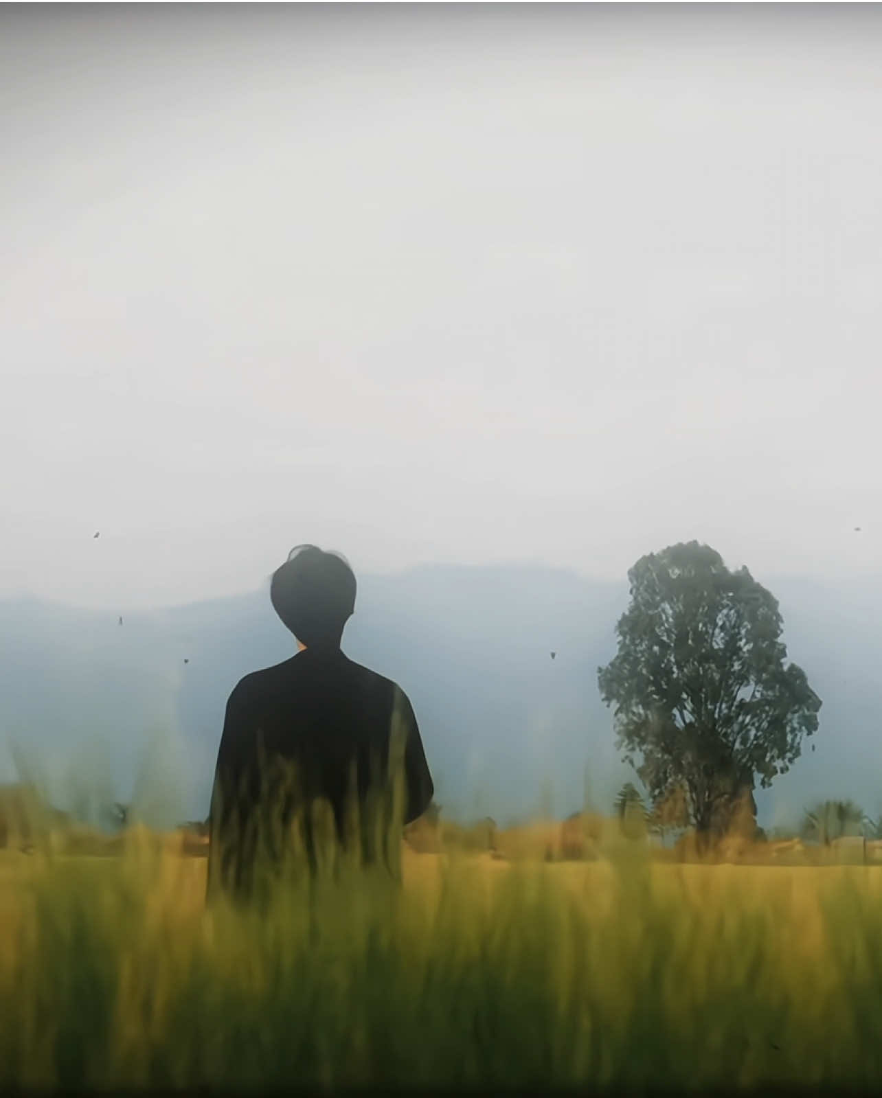 the person who put in the most effort to get to me was myself