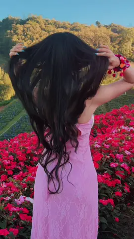 သဘာဝ…🌳💐@Nan Thazin shop #ရောက်ချင်တဲ့နေရာရောက်👌 