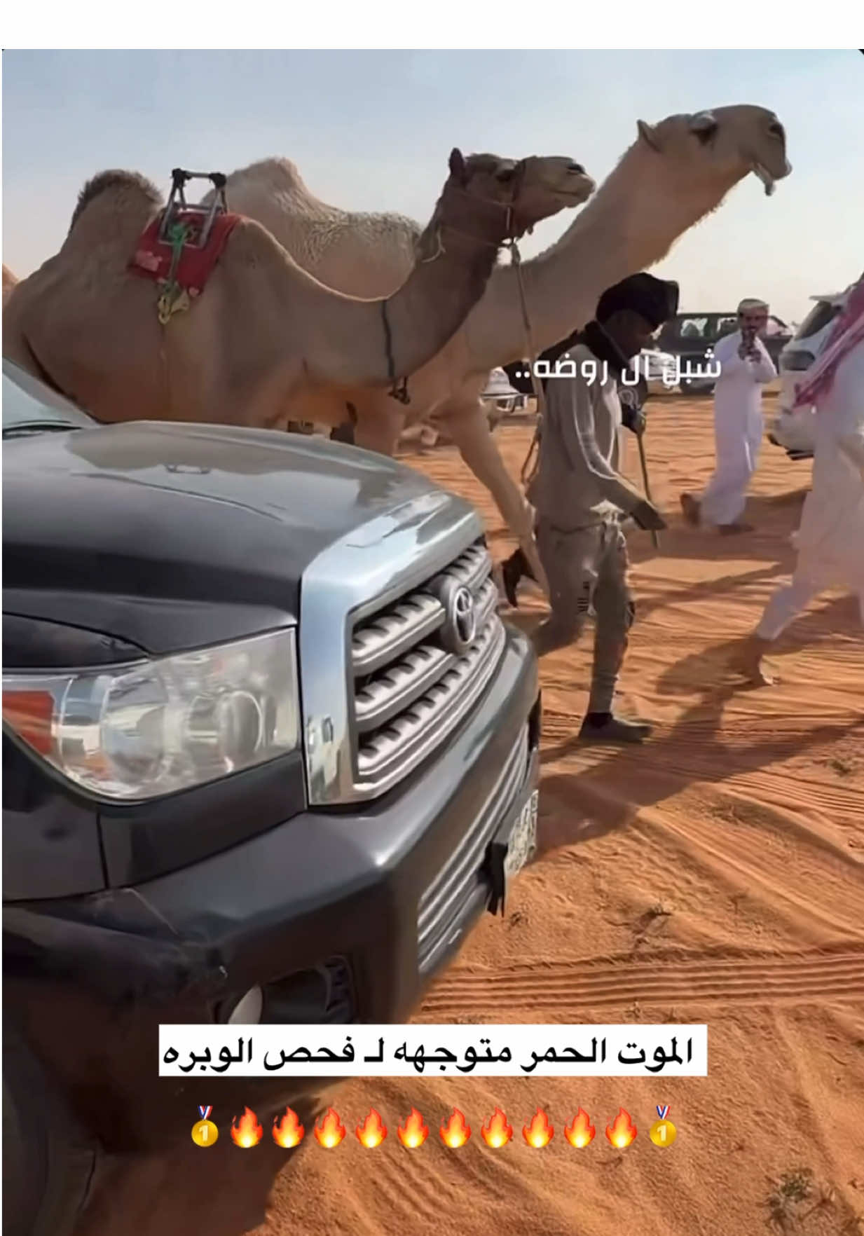 فردية المغاتير 🥇🔥.. - - #فردية #المغاتير #الموت_الحمر #بندر_بن_جخدب #ابن_جخدب 