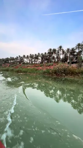 #تحب #الشعر #تابعني  . . . #بساتين_ديالى🍊🍊 