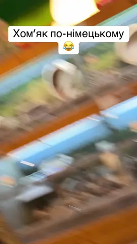 #Німеччина #Хомяк #НімецькіПравила #СімейнийКонтент 