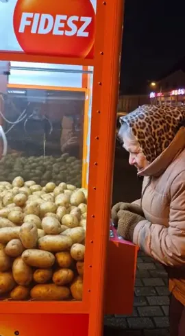 #magyarorszag #magyartiktok #magyar #humor #vicces 