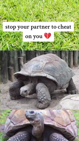 #Love #viral #beutiful #medicinanatural #like 