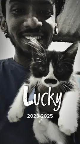 I couldn’t save you my friend…that’s gods plan but if I was there I’ve give every effort to save your life.. we will Takecare of your baby kittens girl ..I hope your soul is fine … rest in paradise Lucky ..I can’t accept that your not with us anymore but it is what it is … Alhamdhulillah, we miss you lucky.. I love you as always … Good Bye girl 💔😢 #rip #riplucky #petcat #lankansnoop #flood 