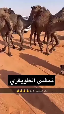 #بن_جخدب #نشمي_الظويفري#كسبلور #عتيبة #مطير 