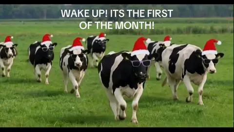 1ST OF DECEMBER#firstofthemonth #1stofthemonth #december #1stofdecember #dancingcows 