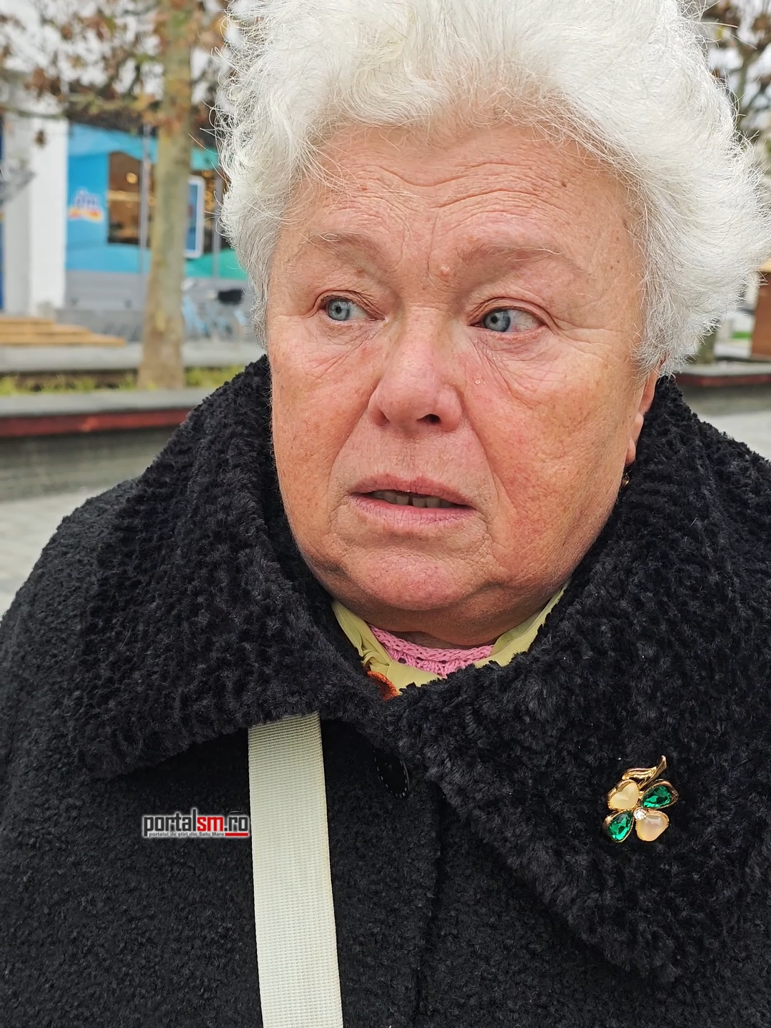 Un an de la alegerile prezidențiale: ce ar vota sătmărenii dacă ar merge din nou la urne?