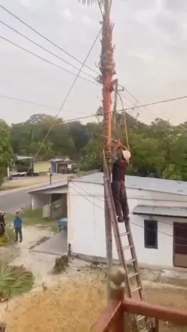 Logging Dangerous Moments #satisfying #tree #asmr #giant #oddlysatisfying