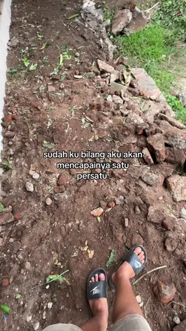 #fypage #viraltiktok #pengusahamuda #peternakmuda #peternaketawa 