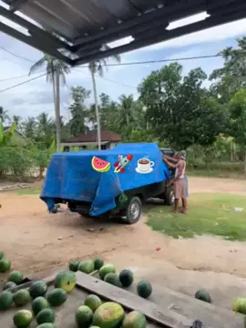 🥱#sapekkonten #kurirsemangka🍉 