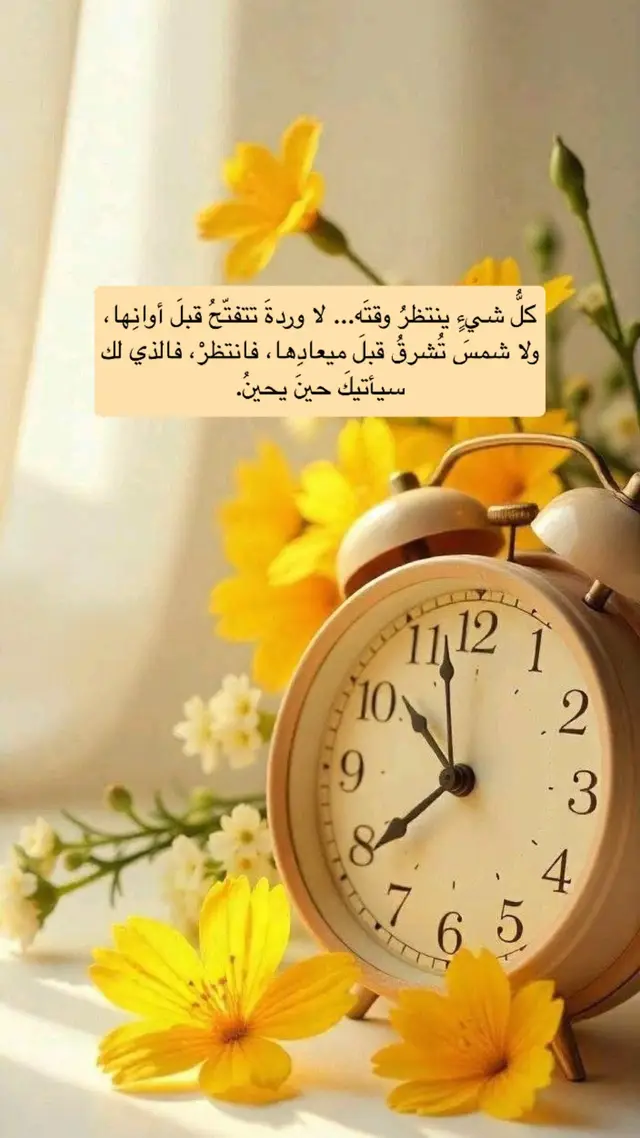 #creatorsearchinsights #خواطر #اقتباسات #اكسبلور #كلمات_من_القلب 