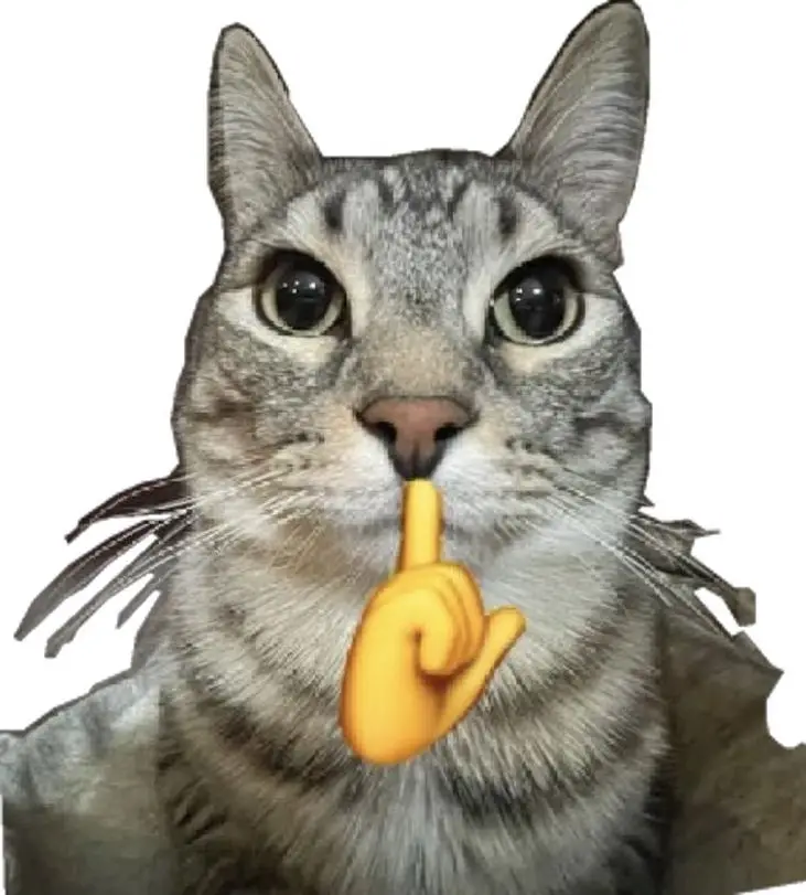 foto live slide 🤫🤫