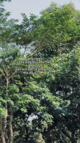 আমিও মুখের  উপর জবাব দিতে পারি.. কিন্তু  আমার হৃদয়  তখন বলে উঠে, ওর খারাপ লাগতে  পারে বাদ দেও:)❤️‍🩹✨#foryou #viral #fyp #Love #views 