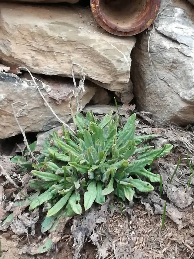 #مصر #رمضان_كر #رمضان_كريم #یسلام_دینمە❤❤❤❤❤❤❤ #رانیه_سلیمانیه_قلادزه_دوکان_کرکوک_هول 