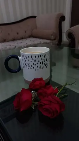 تم سے ملنے کے لیے صرف آنکھیں بند کرلینا کافی ہے میرے لئے  #tealover #poetrylover #nature_lover #princess_zee319 