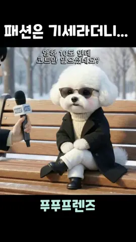 얼죽코의 최후… 😂❄️ 패딩이 답이다 코트만 입고 나온 푸비… 5초 만에 무너진 허세🤣 겨울엔 패딩이 국룰 아닙니까 여러분? #얼죽코 #패딩 #겨울패션 #겨울코디 #겨울룩    