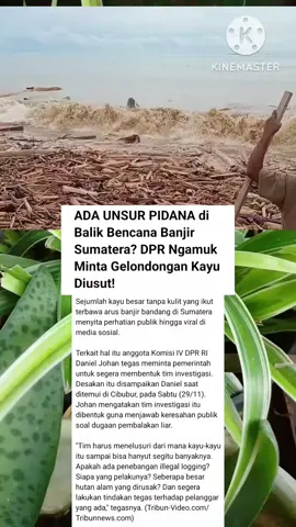DPR Ngamuk Minta Gelondongan Kayu Banjir Sumatera Diusut!
