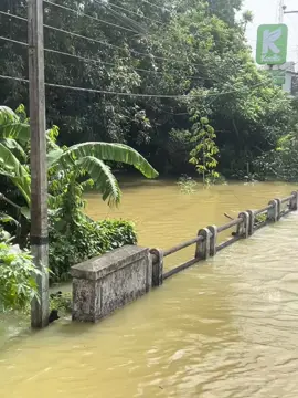 Angoda-Walpola Keels Super.....2025/12/01 😣💔#flood #floodsl #walpola #Meheyatawelahodatama