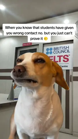 Wrong  number dinu vyenw hai sathi haru 😁  #StudyInAustralia #GlobalVisionConsulting #Meme #MemeCut #CapCut 