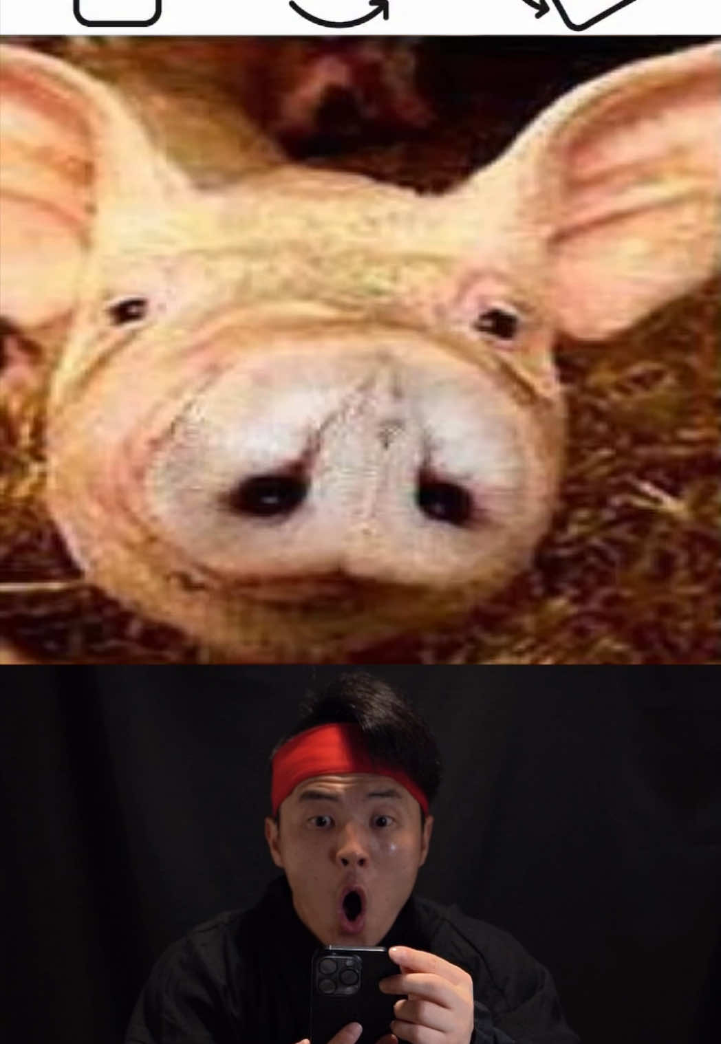 돼지 그림을 돌려봐 뭐가 보여? 🥷🔄🐷Rotate the Pig Picture… What Do You See? #illusion #visualtrick #반전그림 #착시그림 #ninjahyeong   🎬 Just for laughs & creativity   🛡️ Follows TikTok Community Guidelines