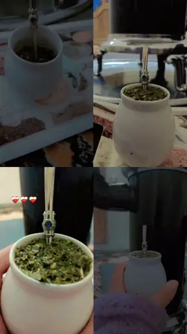 أنا إمرآة عزلتها أنيقة و أفضل أصدقائها المته🧉👑💚#سوريا #ترندات واكسبلو#