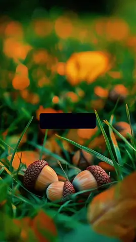 فَـ يارب ارزقنا الرضا والقناعة وراحة البـال.❤🌹#الحمدلله_دائماً_وابداً💚 