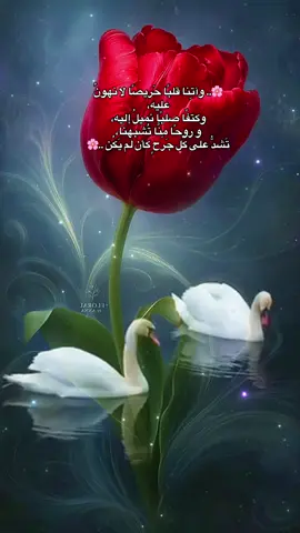 ‏🌸.. #وآتِنا قلبًا حَريصًا لا نهونُ عليه، وكتفًا صلبًا نميلُ إليه، و روحًا مِنَّا تُشبهنا، تَشدُّ على كُل جَرحٍ كأن لَم يَكُن ..🌸#خواطر #اكسبلور #CapCut 