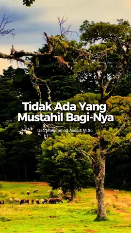 Tifak ada yang mustahil bagi-Nya Ust @Muhammad Assad  ——— Amalkan. Bagikan. ✨ “Barangsiapa yang menunjukkan kepada suatu kebaikan, maka dia akan mendapatkan pahala sama persis dengan orang yang mengerjakannya tanpa dikurangi sedikitpun.”  (HR. Muslim) #restart #Allahummabaarik #muhammadassad 