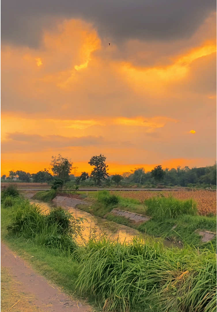 #CapCut #kalitalang #motretsyuka #mojowarno #jombang 