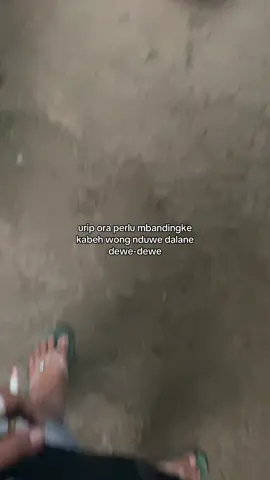 #pemulabarubelajar #promomakanharian #peternakmuda #mburiomahofficial #fypシ゚viral 