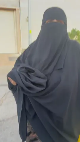 كشته خفافيه#القصيم #الجراد#الهدية 