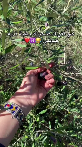 😂😂😂😂 خلو لقبايل يتزوجو مع لقبايل   #زيتون #قبايل #kabyle #f #explore #tiktokviral #fyppppppppppppppppppppppp #video 