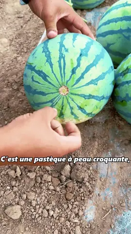 #fyp #fruit #learnsomethingnew 