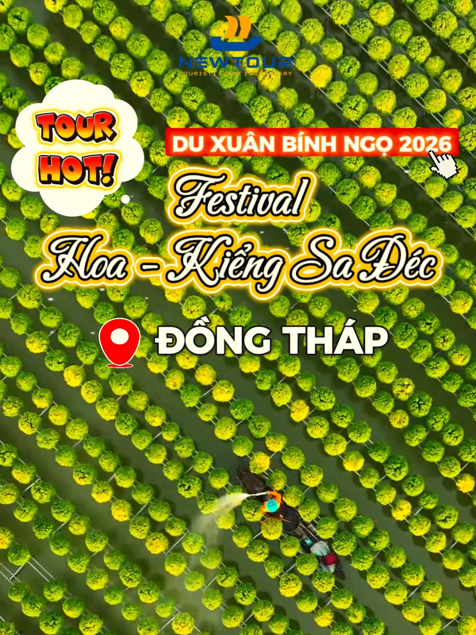👉Đồng Tháp sắp tổ chức Festival Hoa - Kiểng Sa Đéc lần II (27/12/2025 - 04/01/2026)🌸 #newtour #dongthap #festival #dulich #tet 