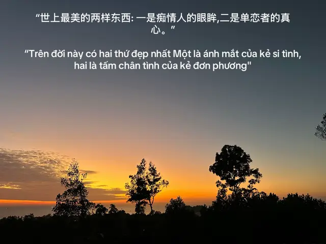 “世上最美的两样东西: 一是痴情人的眼眸,二是单恋者的真心。” “Trên đời này có hai thứ đẹp nhất Một là ánh mắt của kẻ si tình, hai là tấm chân tình của kẻ đơn phương